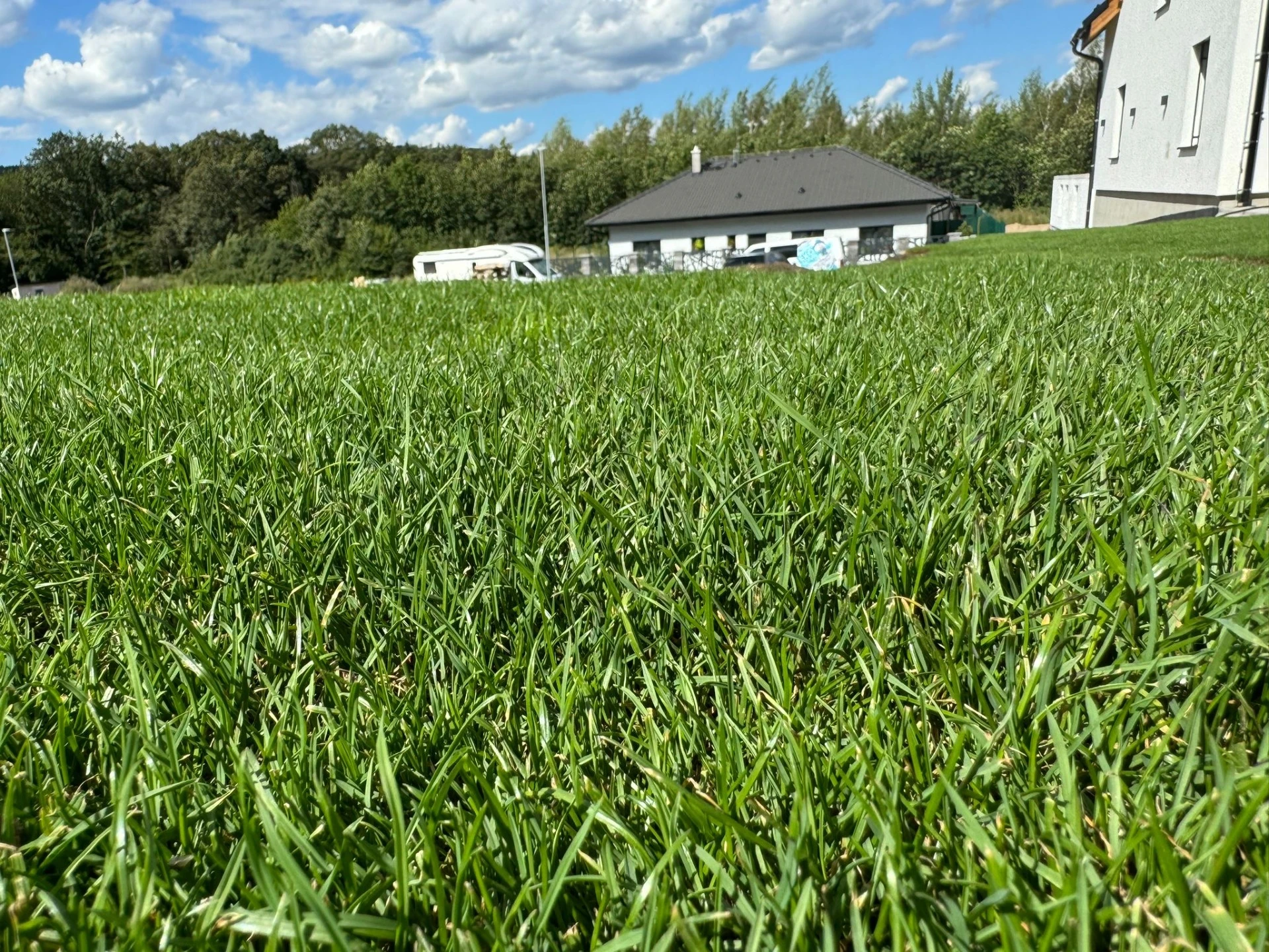 Trávník 4