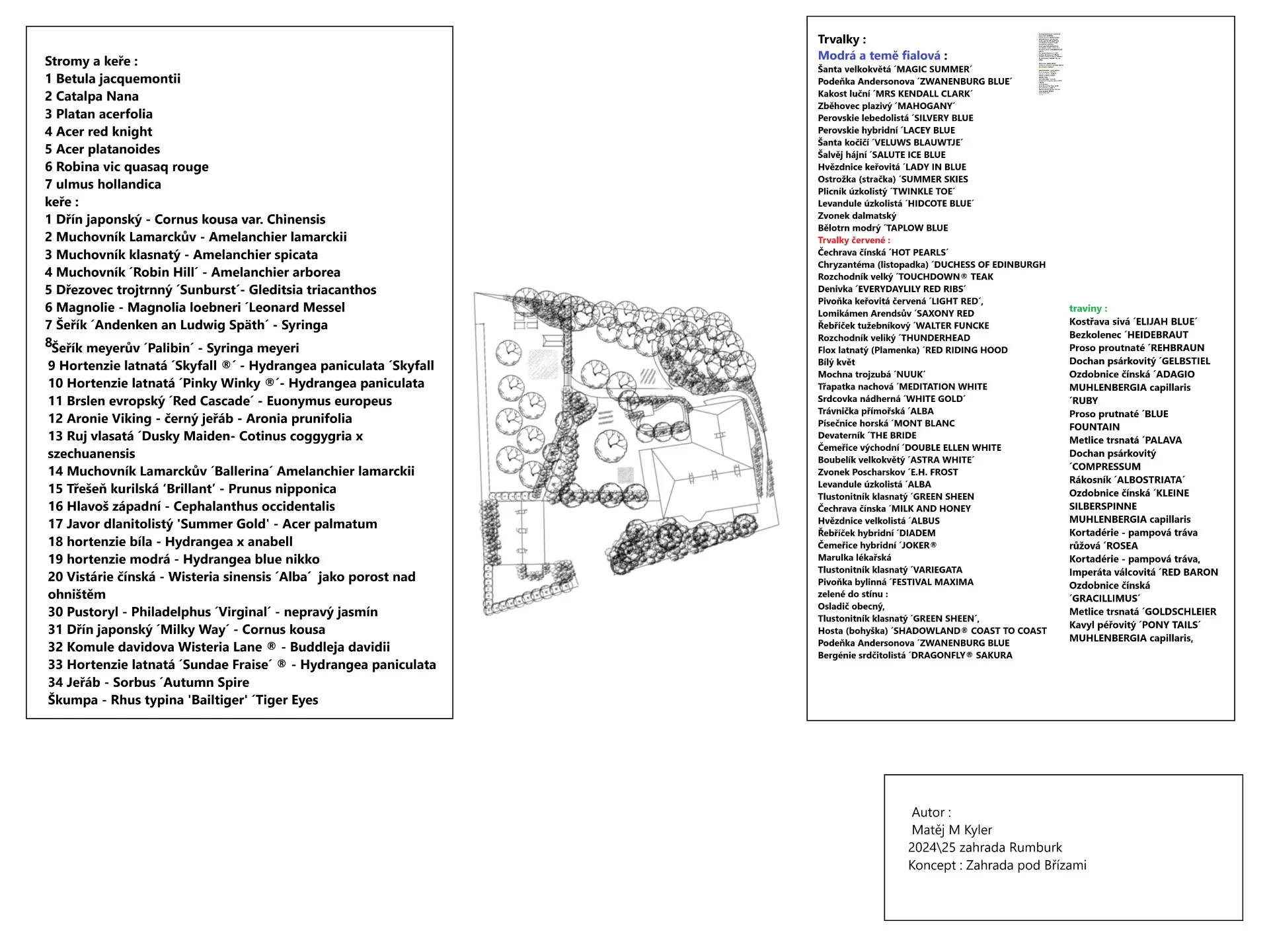 Projekce 6